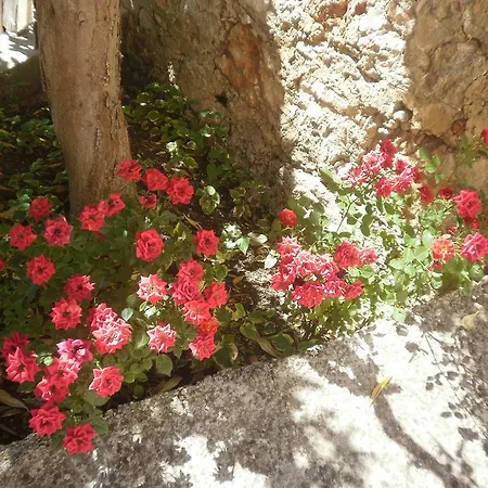 Apartamento Quiet Hvar *