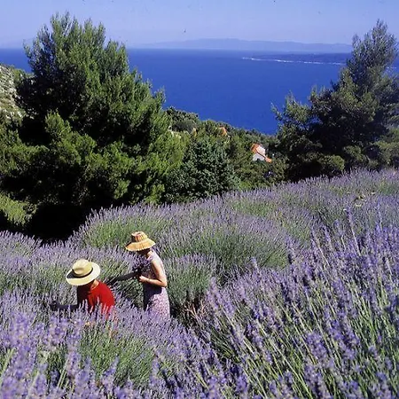 Apartamento Quiet Hvar *
